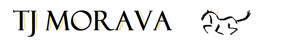 Primary Raster logo